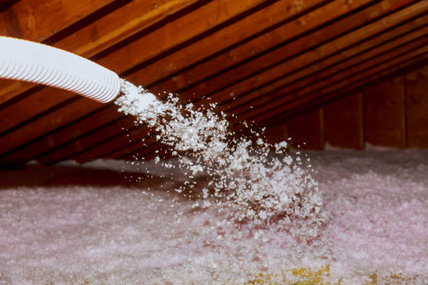 Best Insulation Repair Services  in New Bedford, MA
