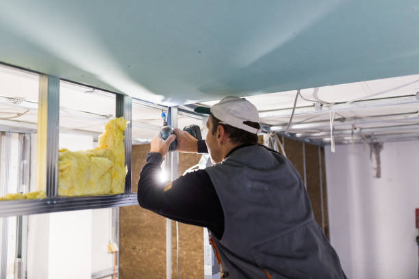 Best Insulation for New Construction  in New Bedford, MA